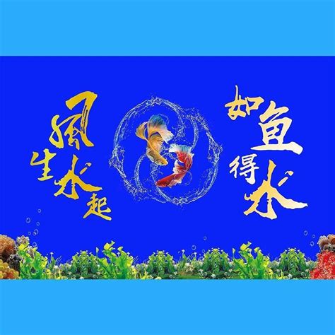 風生水起同義詞|風生水起的意思